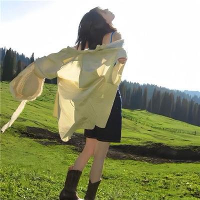 浪蝶嬉春