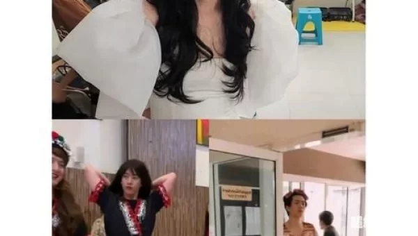 侮辱我的美