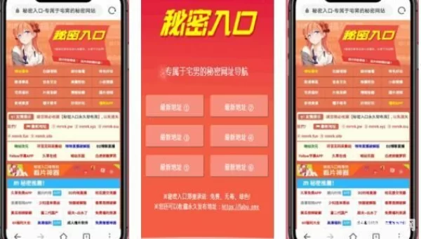 2021秘密入口网站