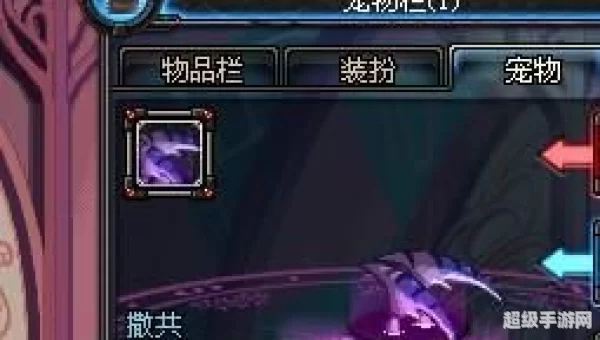 dnf宠物撒共