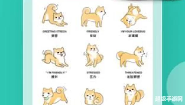 狗语言翻译器