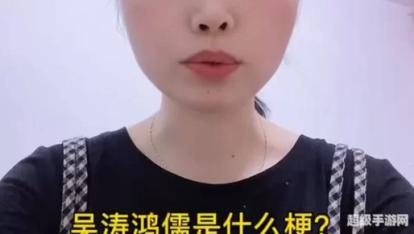 吴涛鸿儒什么意思