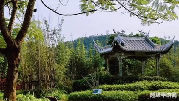 刘浪的故乡