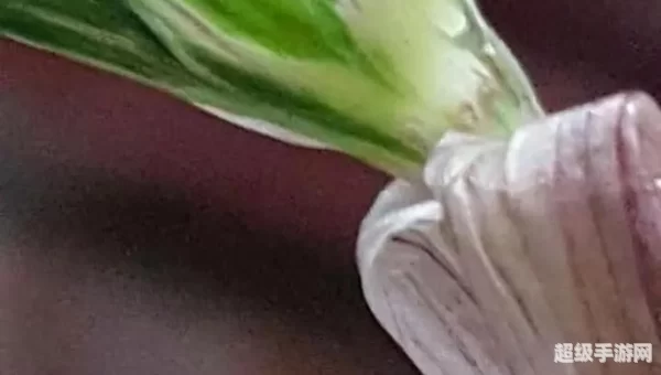 剑网三 素冠荷鼎