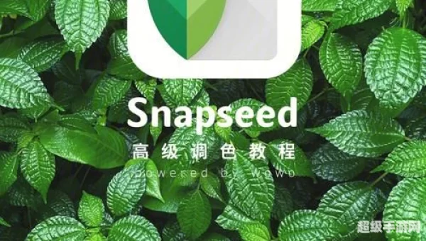 snapseed
