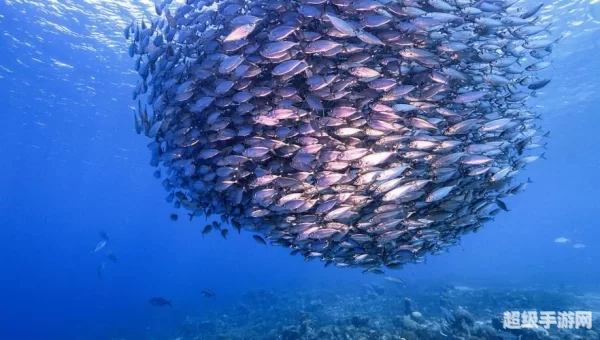 深海巨腹鱼群