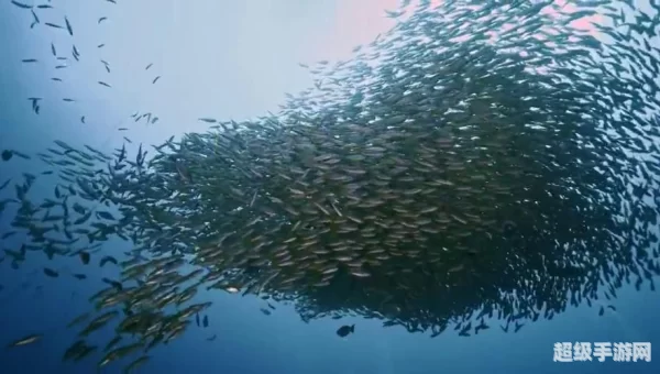 深海巨腹鱼群