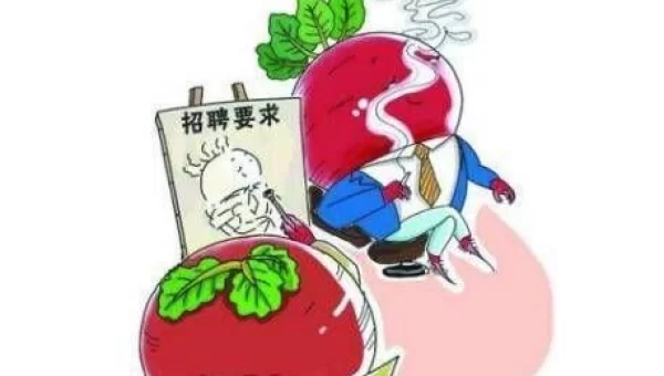 萝卜招聘