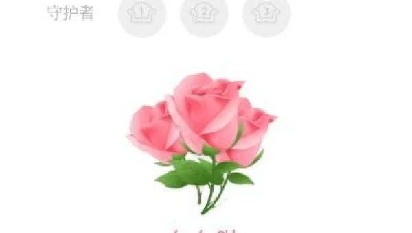 qq送花