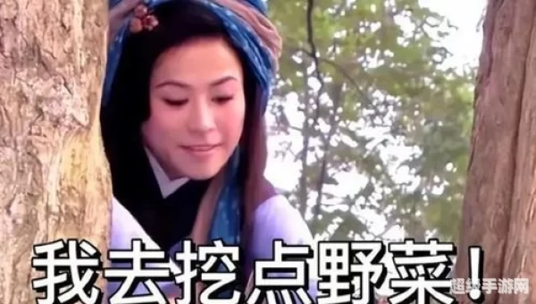 王宝钏挖野菜什么梗